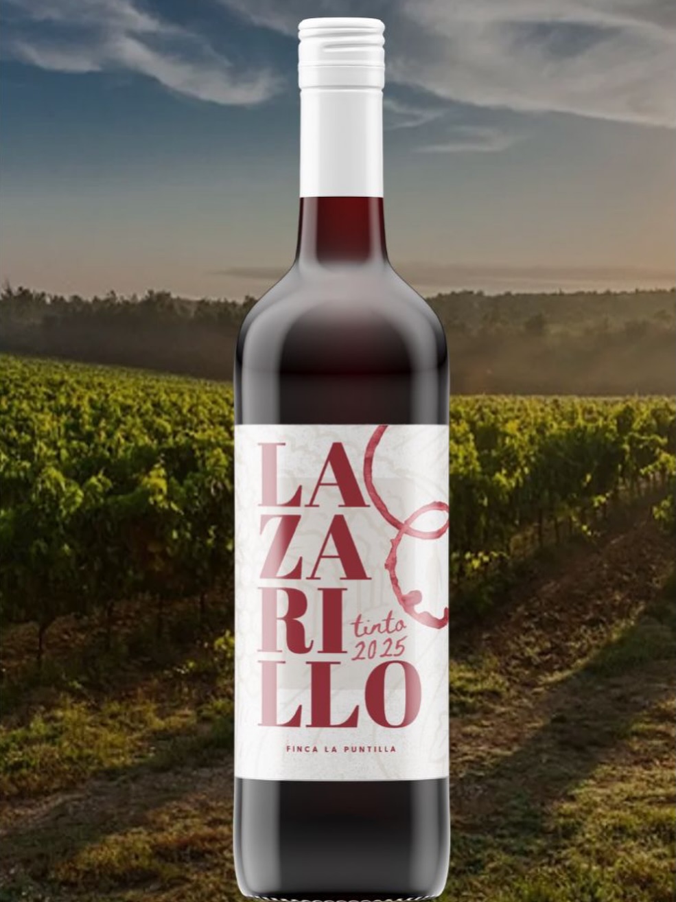 Vino lazarillo